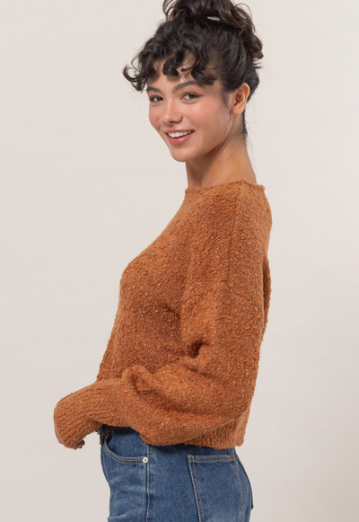 Trendy Crew Neck Long Sleeve Cropped Sweater