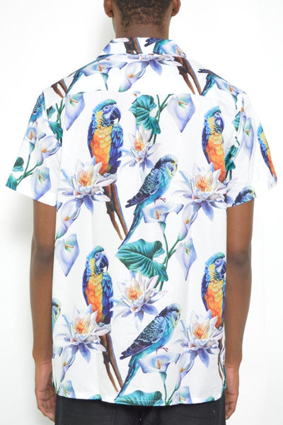 Macaw Short Sleeve Button Down